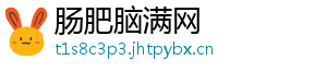 肠肥脑满网